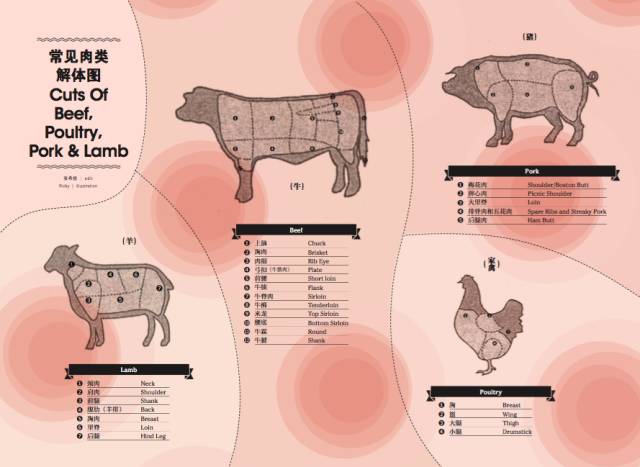 今天一起学习各种肉类的表达吧~ 常用词汇  carnivore肉食者(人或动物