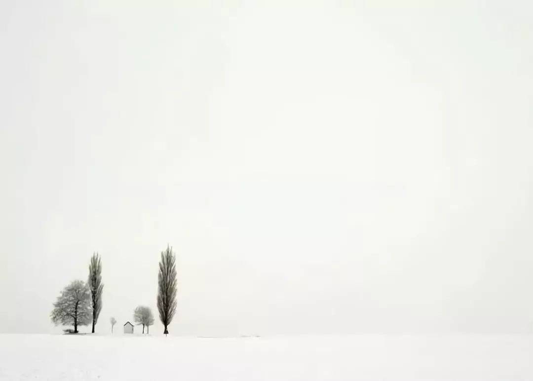 最后,下雪天更是拍摄极简风格的好时候. 撒盐空中差可拟.