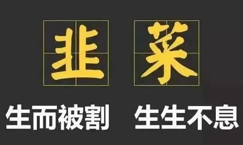 白羊点评:韭菜割不尽,春风吹又生,确认过眼神,稳赚有可能.