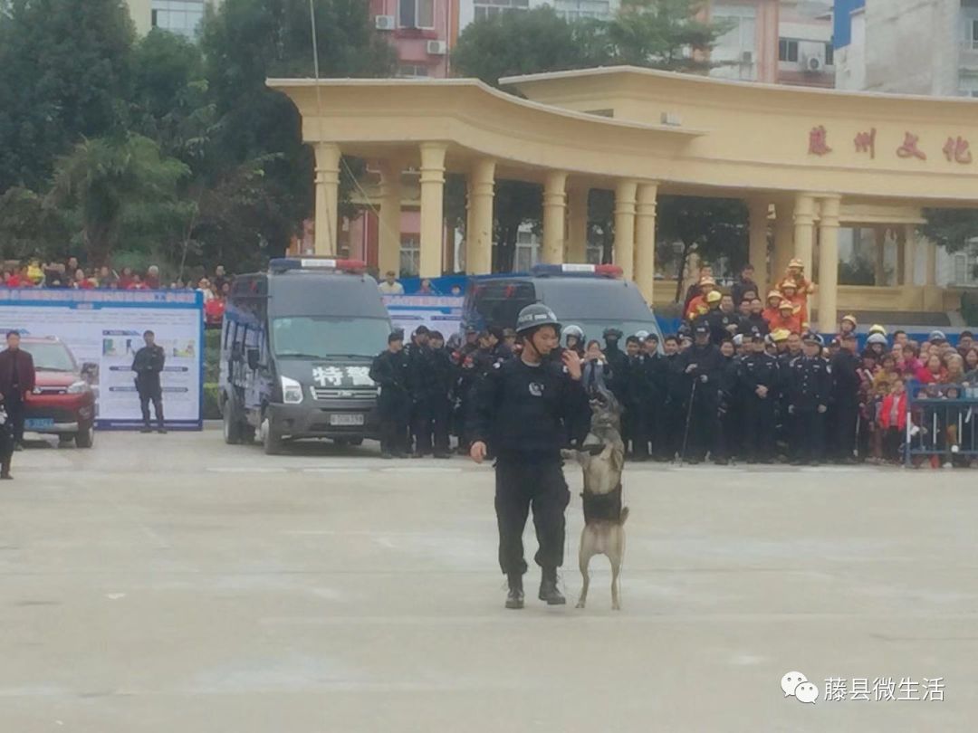 藤州广场惊现"黑社会大哥"招摇过市,结果瞬间被警察秒