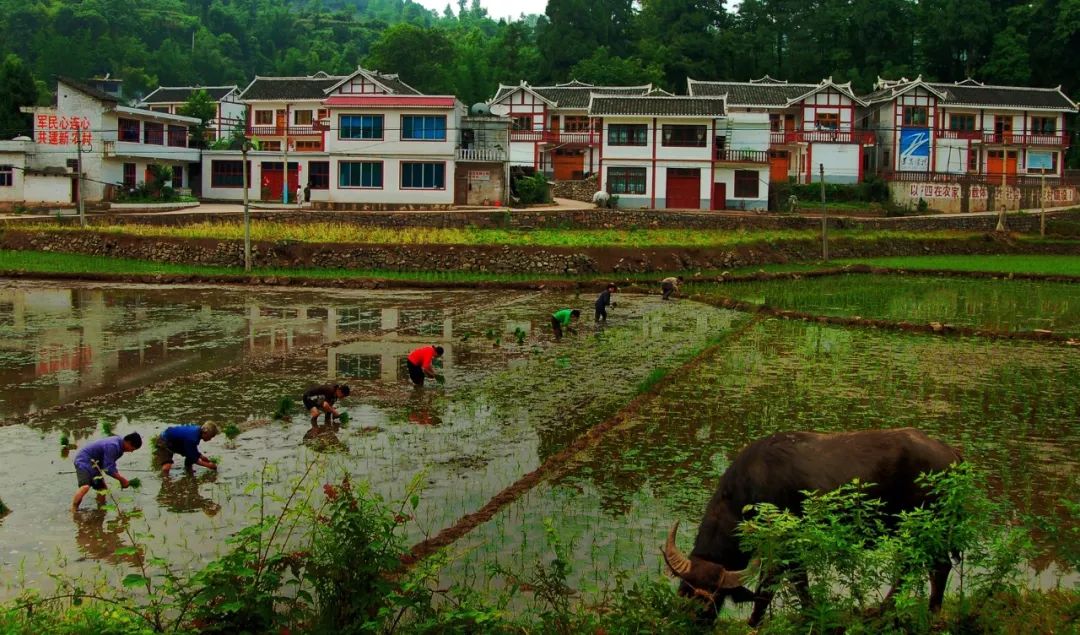 2007年创建的余庆县敖溪镇任家湾黔北民居新村