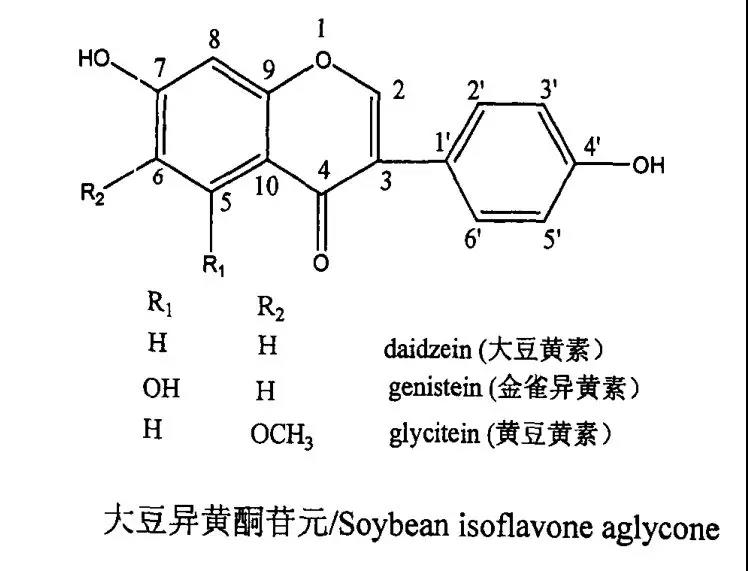 大豆异黄酮 雌激素大豆异黄酮:这个天然的类雌性激素到底厉害在哪里?