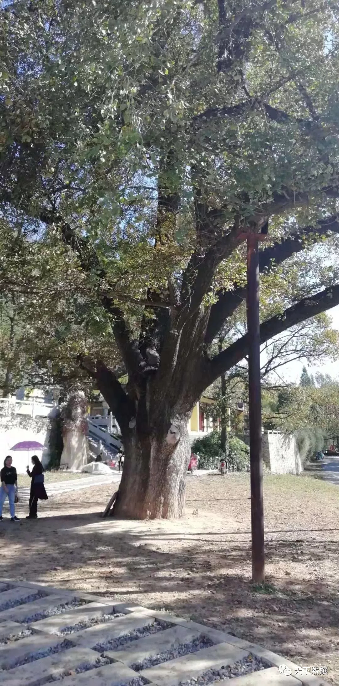 游千年古刹大苏山净居寺