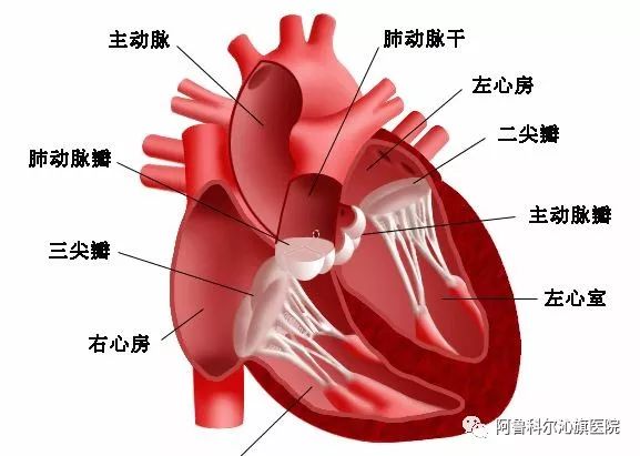 卧床病人口腔怎么护理_护理卧床病人翻身图片(3)