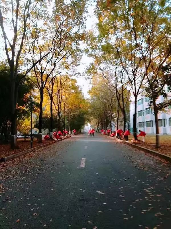 湖南文理学院是由什么做成的?_风景