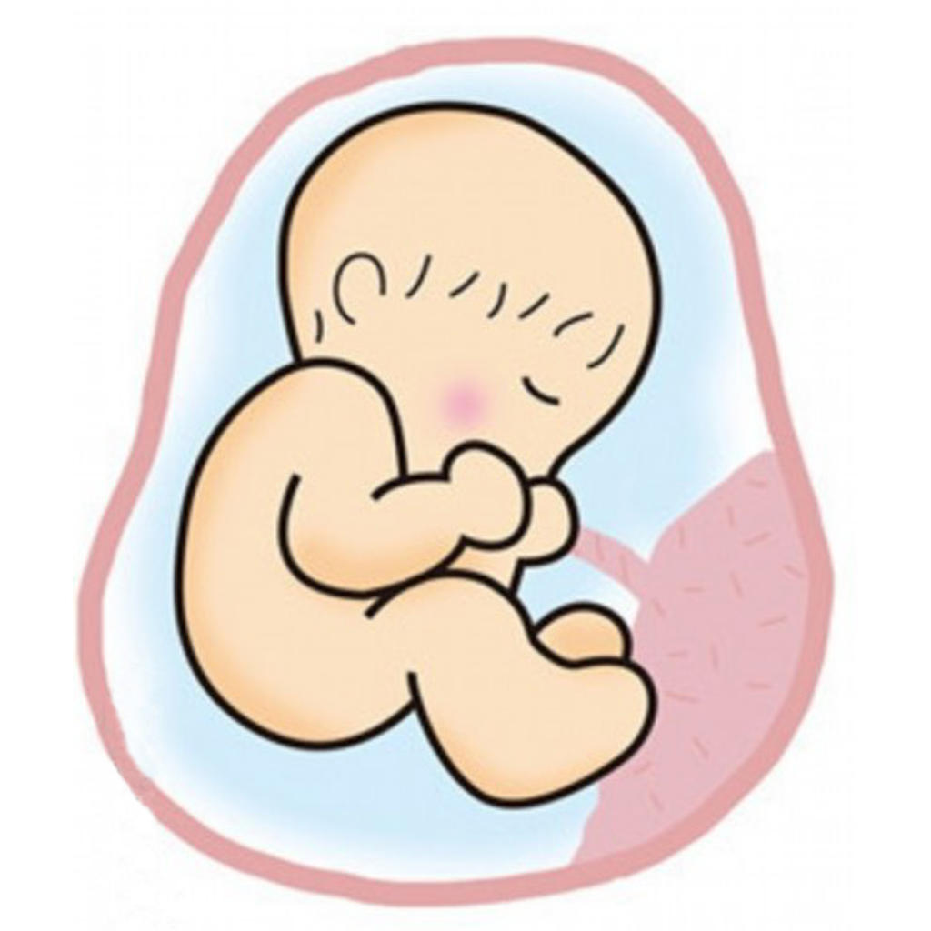孕媽身體出現這幾個信號，要當心胎兒停育！附保胎飲食 親子 第4張