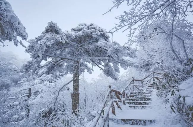 乐行族回顾贴黄山初雪银装素裹的黄山随便一处都是冰雪奇镜