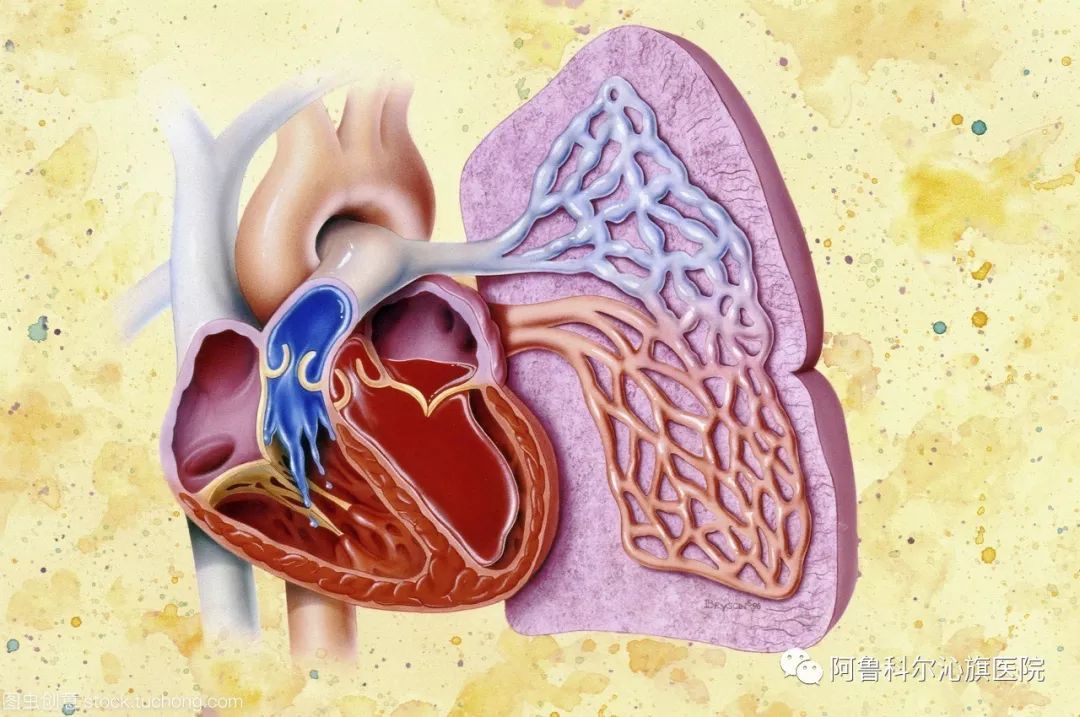 心力衰竭患者的健康教育指导