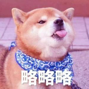 柴犬略略略表情包