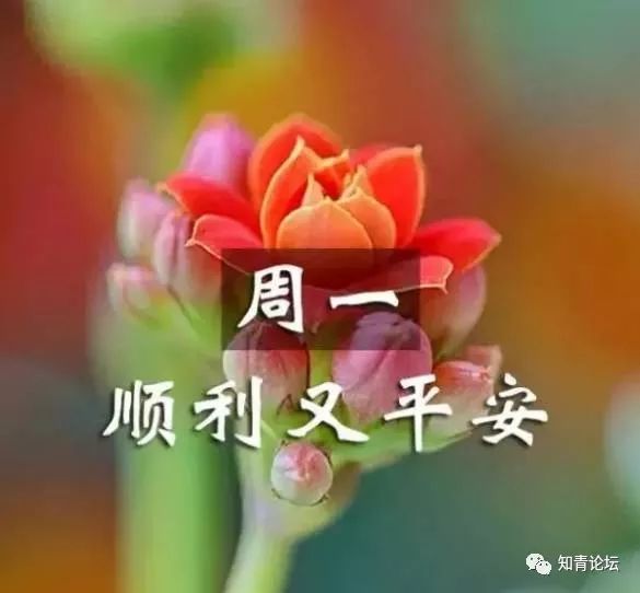 动听的音乐听一听 我送你最好的祝福, 愿你幸福快乐每一天!