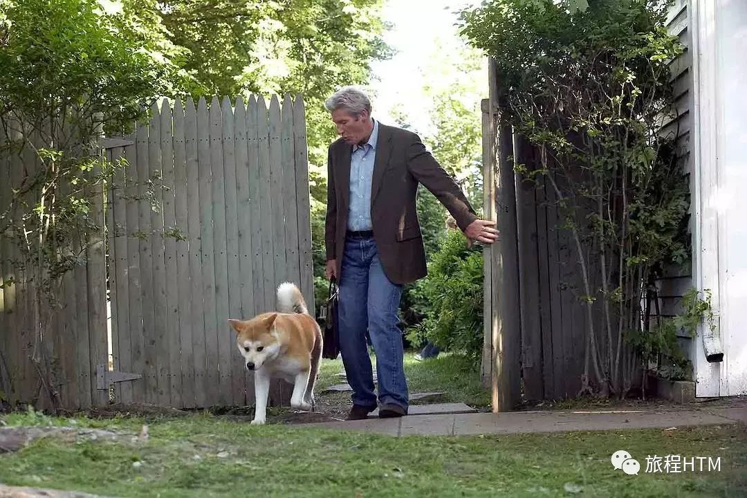 电影推荐忠犬八公的故事