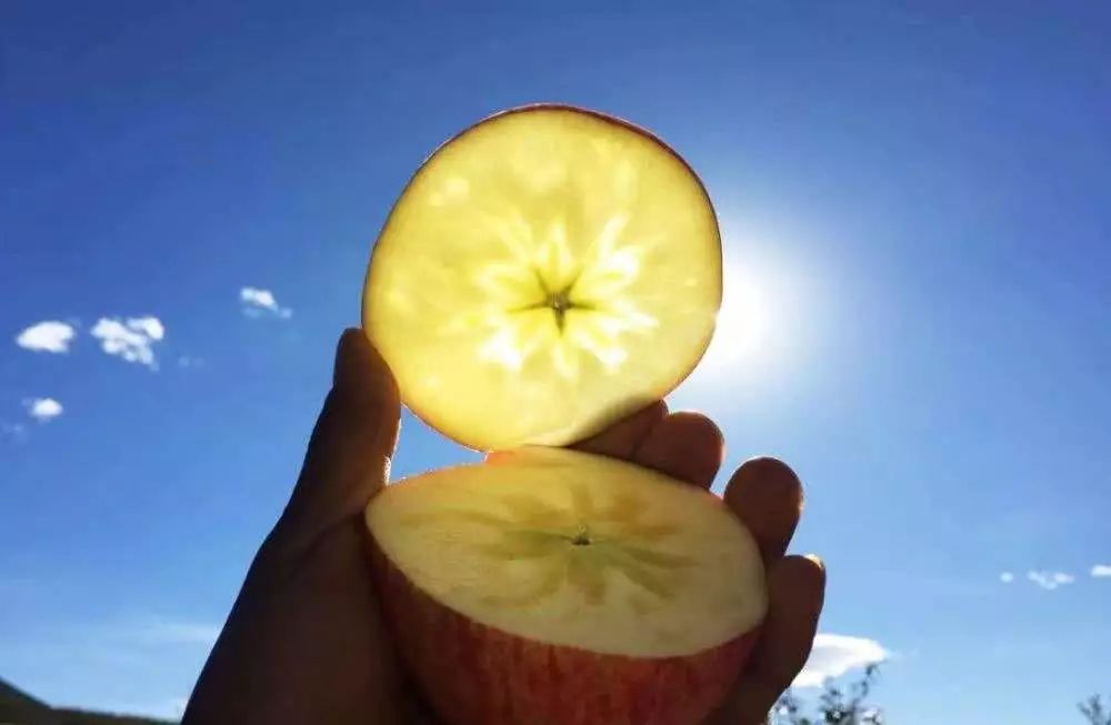 如何辨别真正的阿克苏冰糖心苹果