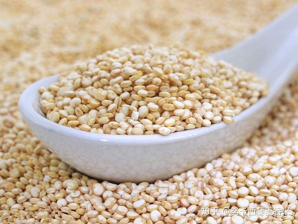 Is Quinoa Available In Pakistan