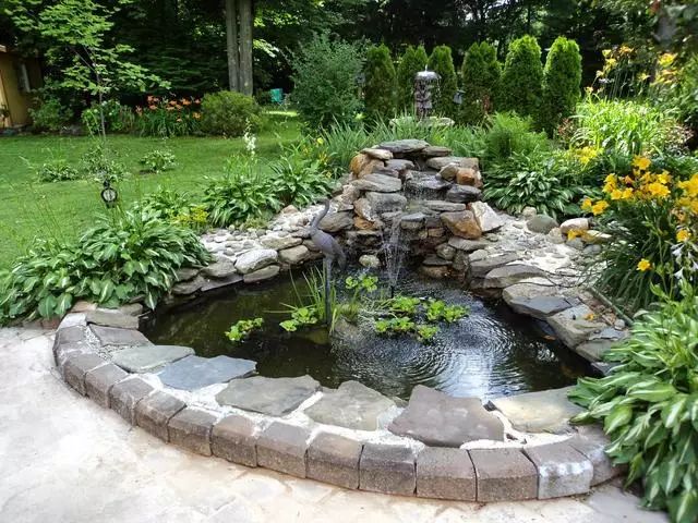 建个小池塘,让你庭院活起来!_水池