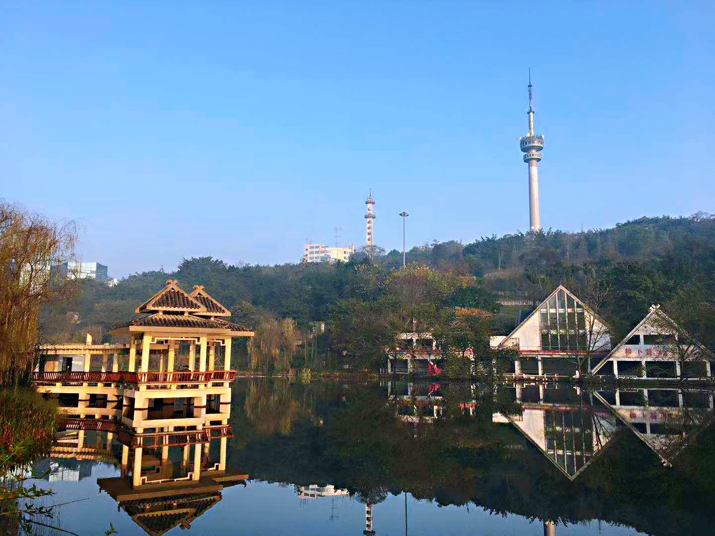 盐都植物园,城市的绿肺,健身的乐园_自贡