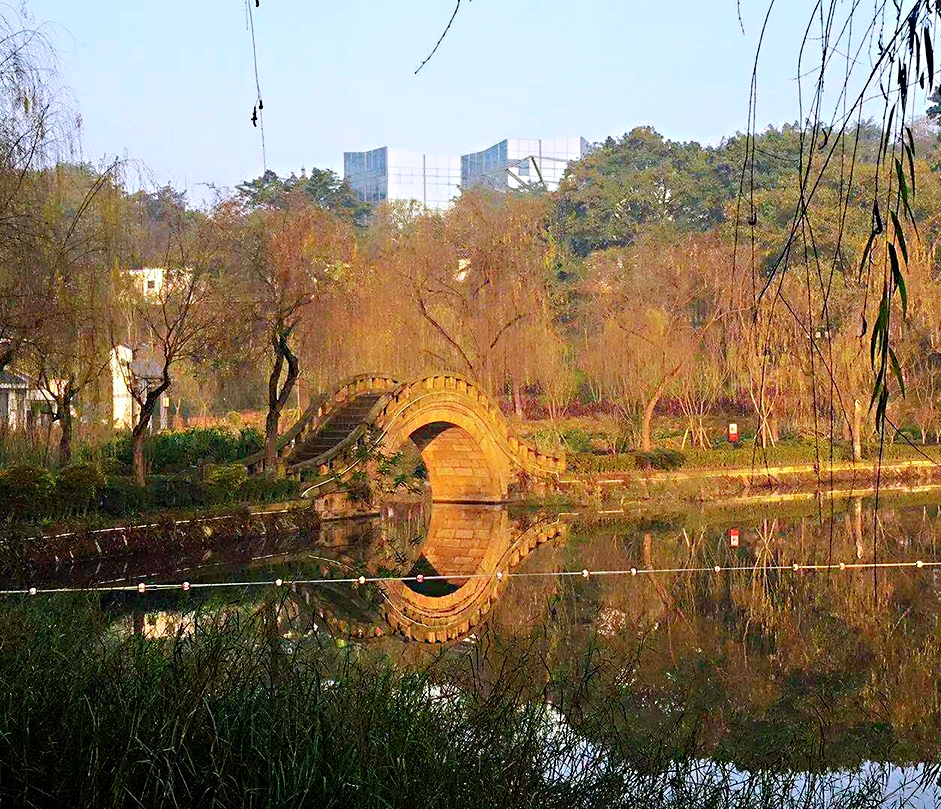 盐都植物园城市的绿肺健身的乐园