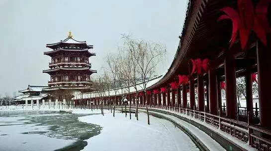 如何拍摄美美的雪景?西安王老师摄影培训教你