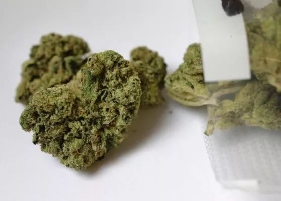 行李箱里查获10公斤毒品!而她居然不知情._大麻