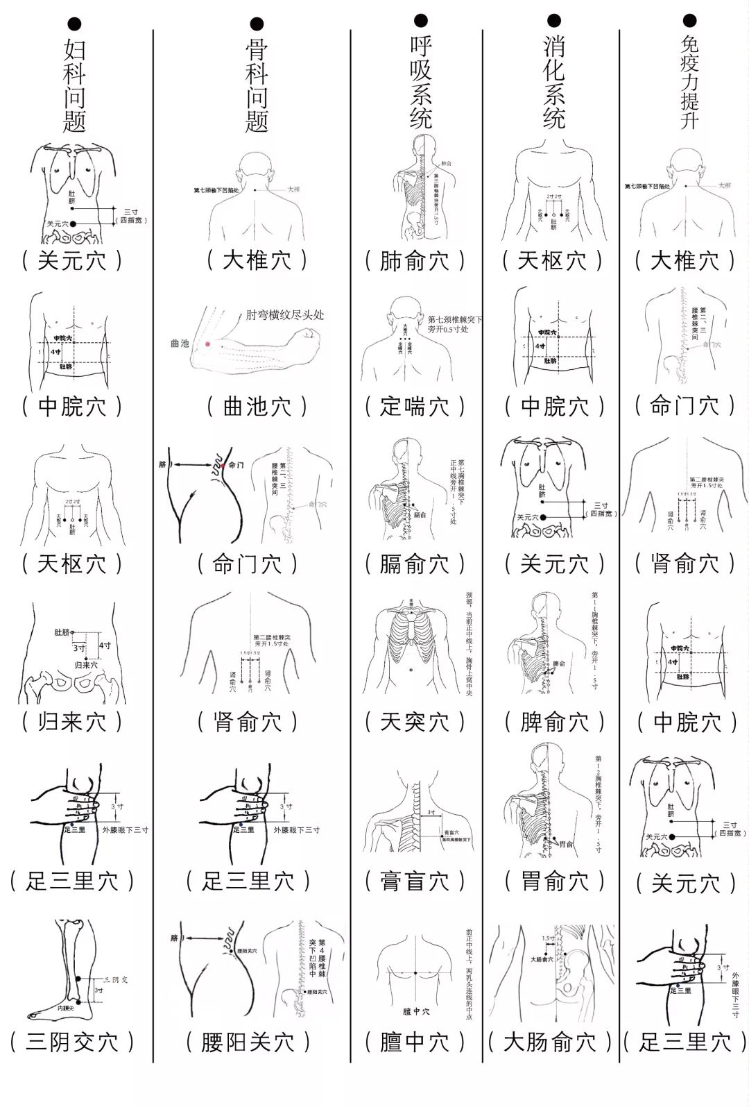 咳嗽贴的原理是什么_咳嗽贴什么部位图片