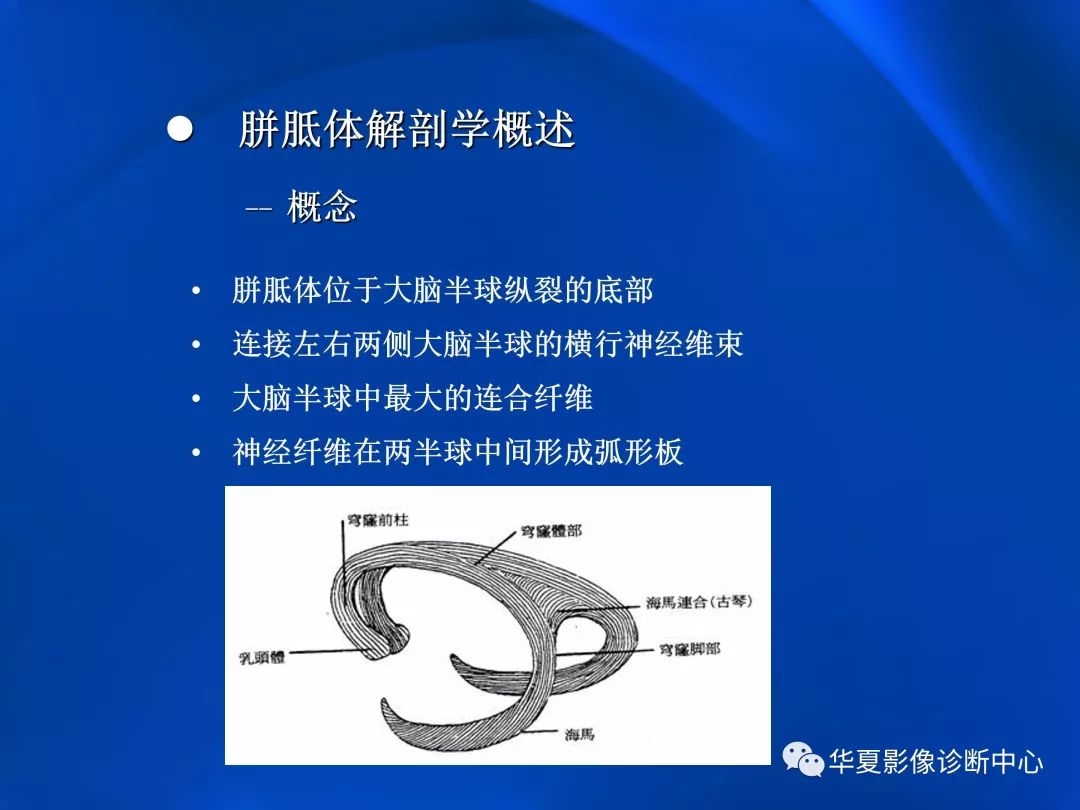 胼胝体病变影像学表现