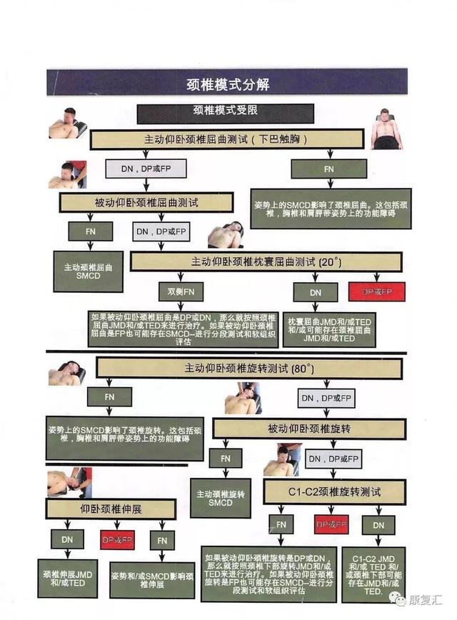 动作筛查评估sfma评估流程图