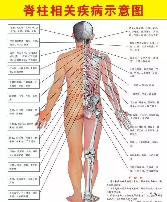 这7个康复动作坚持做,拉伸脊柱,缓解腰痛!真人示范在家就能练