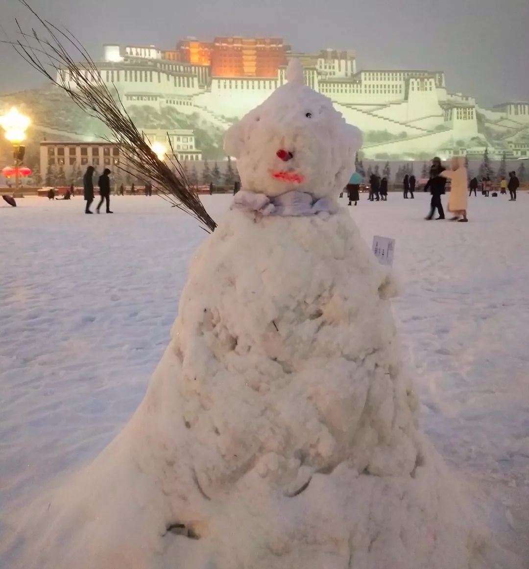 在布达拉宫广场,我们见证了第一场雪后求婚.听说下雪求婚很灵验.