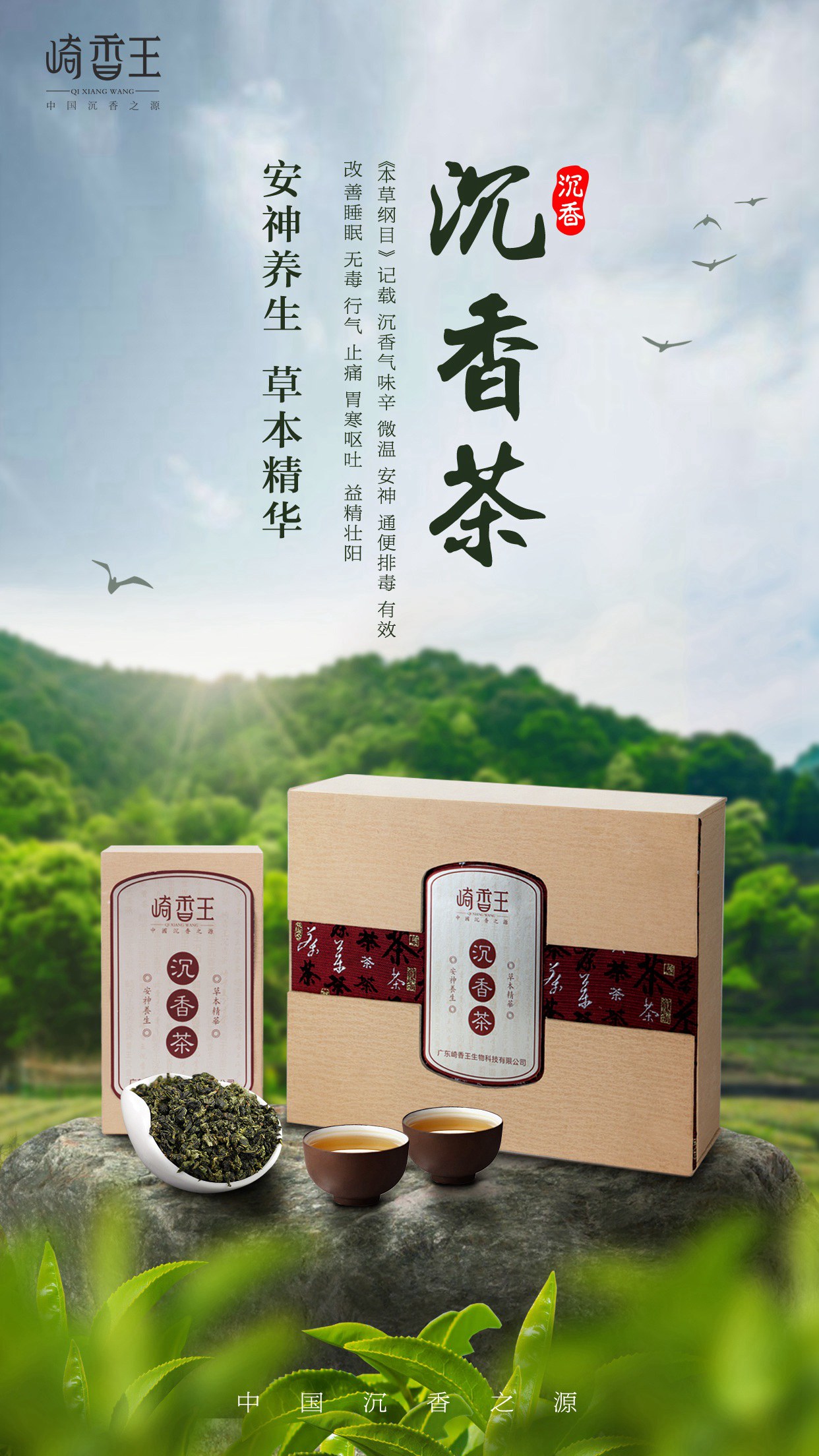 崎香王沉香茶