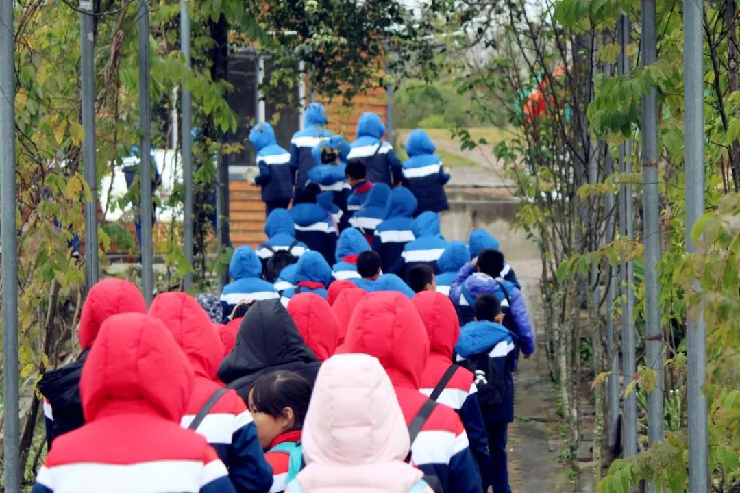 旅途见成长《莆田晚报》秀屿实小小记者站赴逸林研学采风行纪实