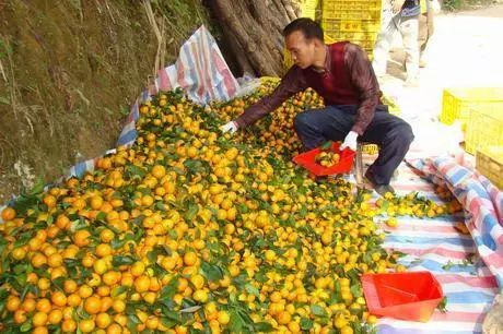 荔浦有多少人口_荔浦地图(2)