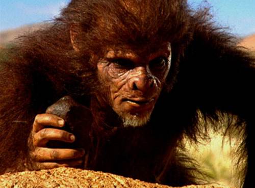《人类源流史》匠人∶生存于190万年前的东非及南部非洲