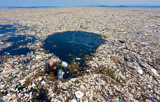 世界最大垃圾岛,半个世纪形成1000万吨,面积相当于6个