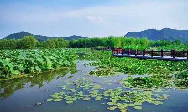 【锦尊】2019年夜饭 法华寺 图影生态湿地文化园 渔人