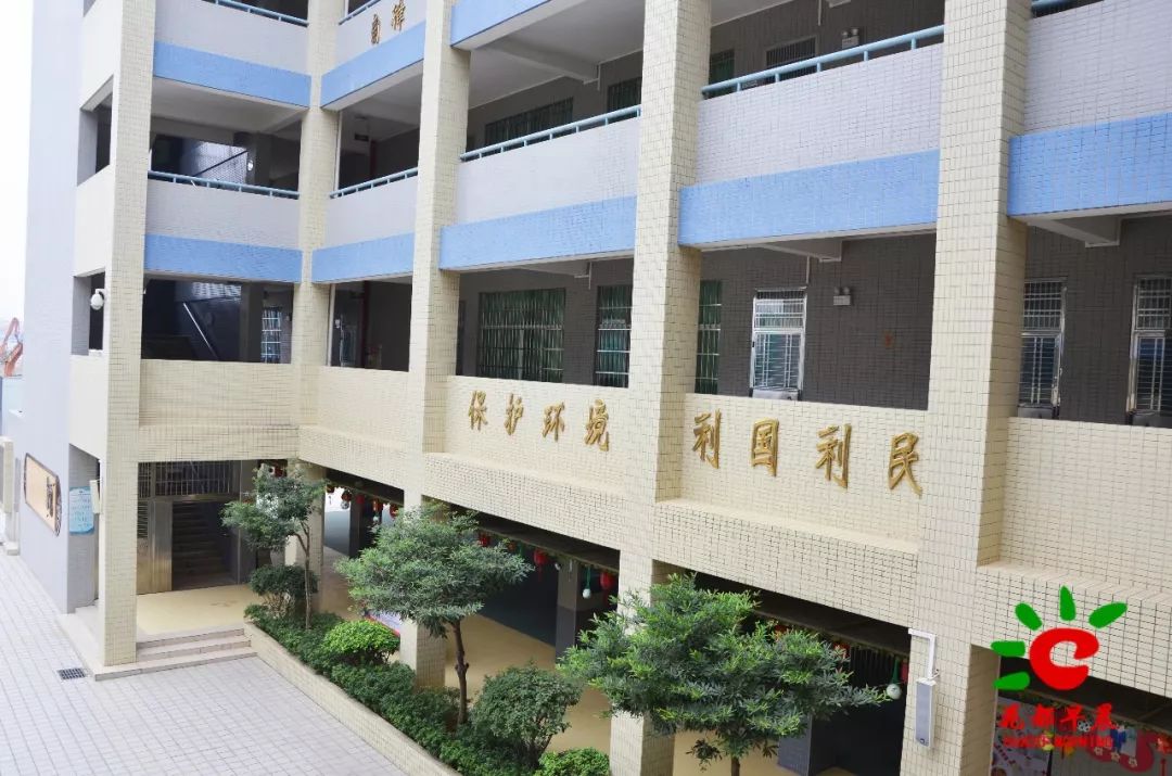 重建前的石岗小学校园校门今昔对比追溯历史学校位于花都区花城街石岗