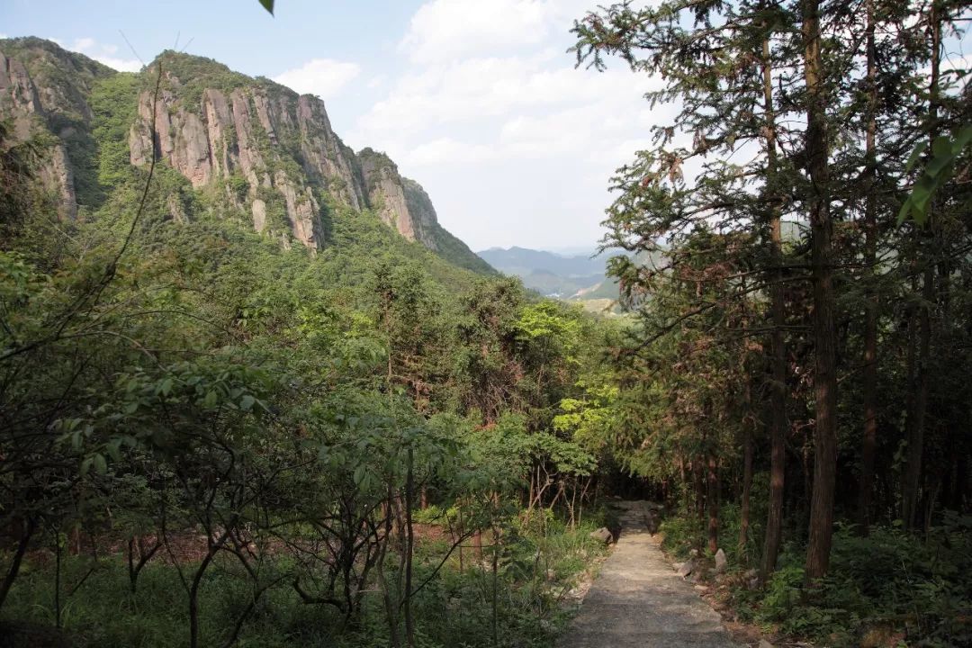 【荐读】马岭古道荣获全国最美森林古道称号!全国仅六条古道入选_浦江