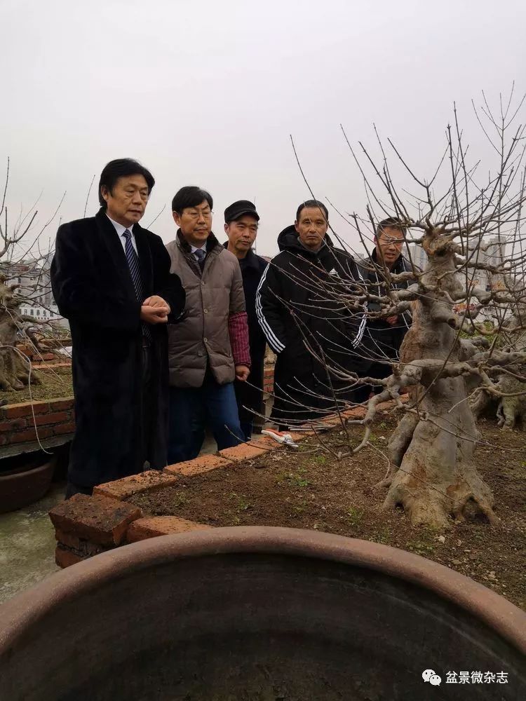 安徽省滁州市盆景赏石协会第二届会员代表大会暨访会长刘传富的空中