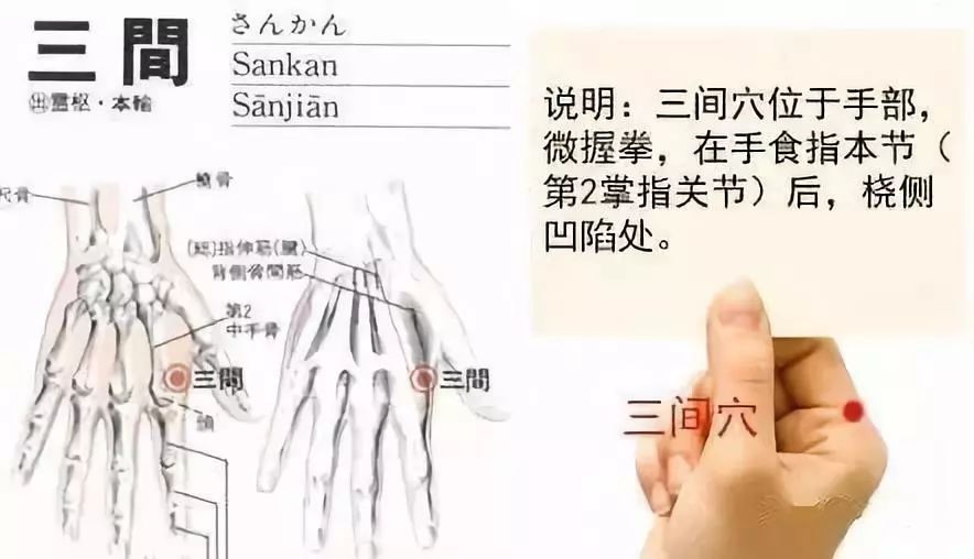 内衣中间的位置疼是那_肋骨中间是什么位置(3)