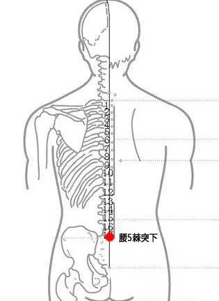 腰5棘突下