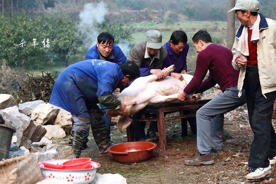 杀年猪熏腊肉灌香肠张家人已开启过年模式