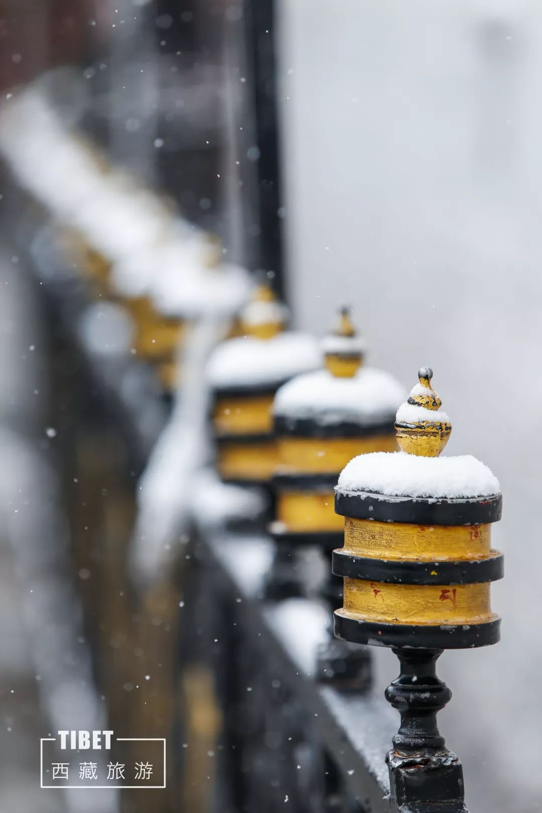 不停歇的雪,落进了眼,落进了心,在安静的圣城,我们都在听雪落下的声音