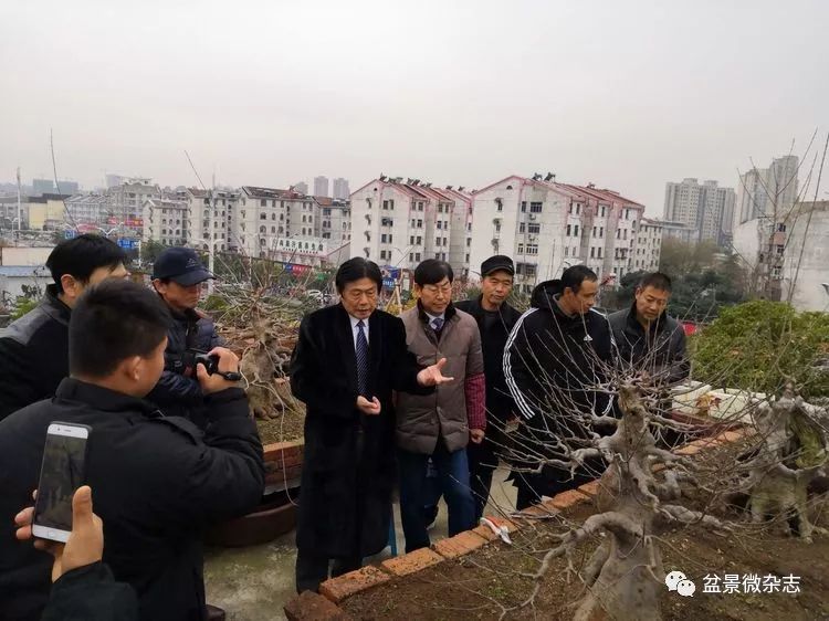 安徽省滁州市盆景赏石协会第二届会员代表大会暨访会长刘传富的空中