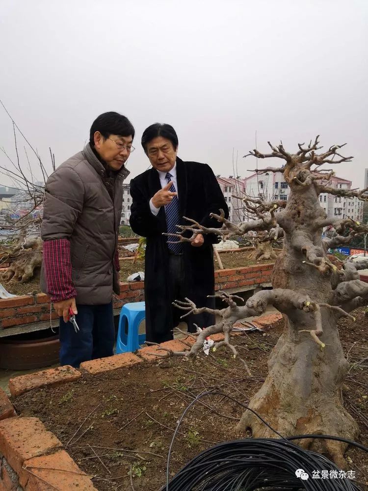 安徽省滁州市盆景赏石协会第二届会员代表大会暨访会长刘传富的空中