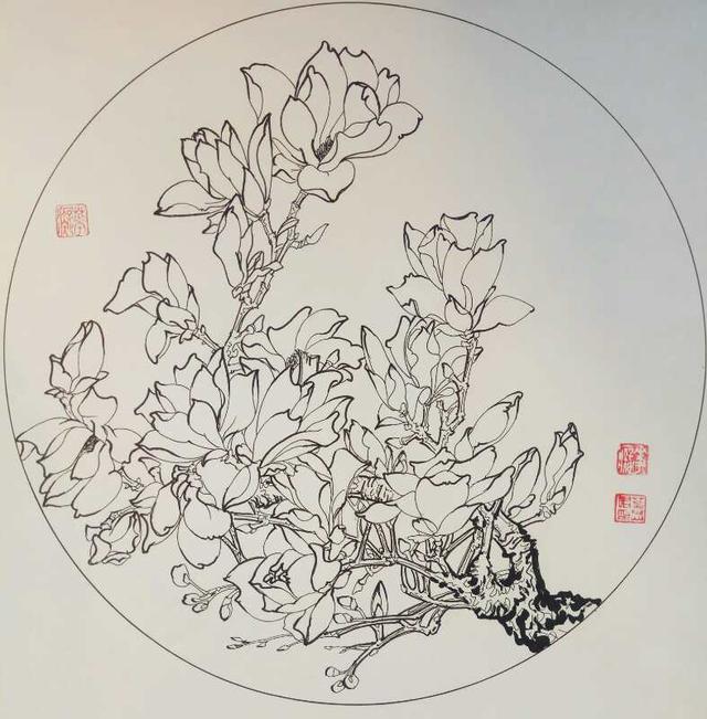 15,叶志军的钢笔画第八百幅—玉兰花(中性笔白描花卉习作)14,罗冷的