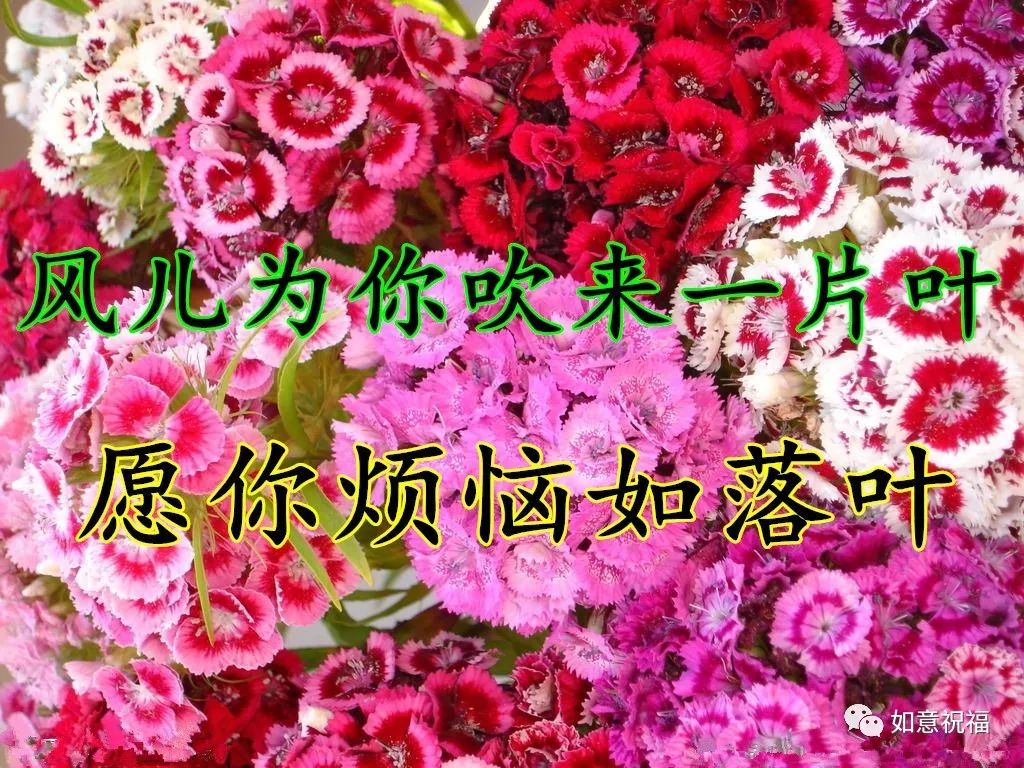 花愿收到的朋友一生幸福真的太美了赶紧给你最珍惜的朋友们把祝福送到