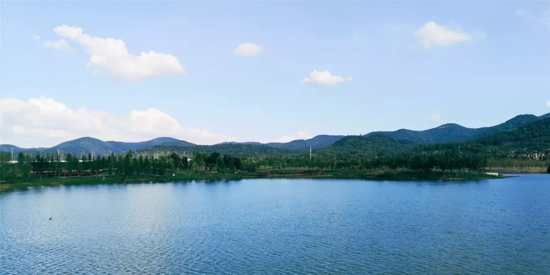 初冬,我站在湖上看风景_九龙湖