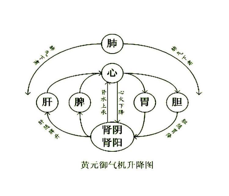 圆运动的古中医学图片