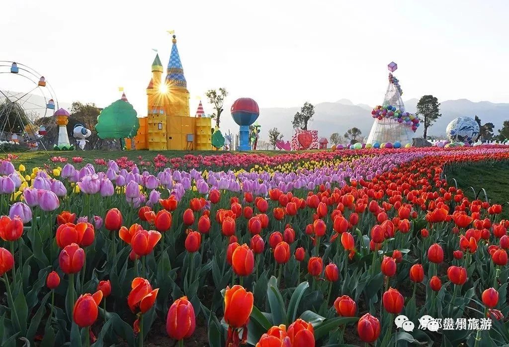 凉都花海    大河堡景区