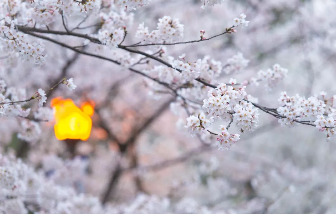 2019年最全"带薪翘班"指南,只要胆子大,没有请不了的假!