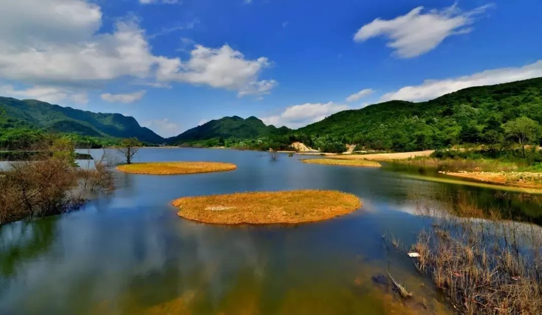 昔日空心村今朝民宿热广元市利州区白朝乡月坝村变脸记