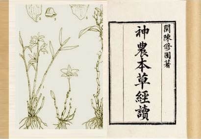 《神农本草经集注》另一位对中国医药发展有贡献的医家是陶弘景,是